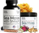 Atlantic Naturals Sea Moss Superfood Sche - Sea Moss ile Shilajit 5-in-1 Capsules & Sea Moss Toz Ashwagandha, Beet Root & Maca Root - Geliştirilmiş Vitality, Skin & Athletic Support 60 ct & 150g