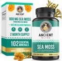 Antik Bliss Organik İrlanda Deniz Moss Pills - Dr. Sebi Wildcrafted Seamoss Capsules | Tiroid, Sağlıklı Skin & Gut Desteği | 120 Capsules