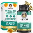 Antik Bliss Organik İrlanda Deniz Moss Pills - Dr. Sebi Wildcrafted Seamoss Capsules | Tiroid, Sağlıklı Skin & Gut Desteği | 120 Capsules