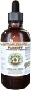 Parsley Alkol-Free Liquid Extract, Parsley (Petroselinum Crispum) Root Glycerite Natural Herbal Supplement, Hawaii Pharm, USA 2 fl.oz
