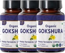 Gokshura 120 Tabletler | Tribulus Terrestris (Gokshura) | USDA Organik sertifikalı | Destekler Immunity and Strength | Organic and Natural 120tab - 3 Paket