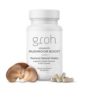 Groh Daily Vitality Boost - ErgoD2 tarafından desteklenen tüm Doğal Saç Büyüme Tamam - Antioksitlerde Zengin - Güçlü Saçlar için Vitaminler, Skin & Nails- İncelenmesi için En İyi Seçimleri - 60 Kont