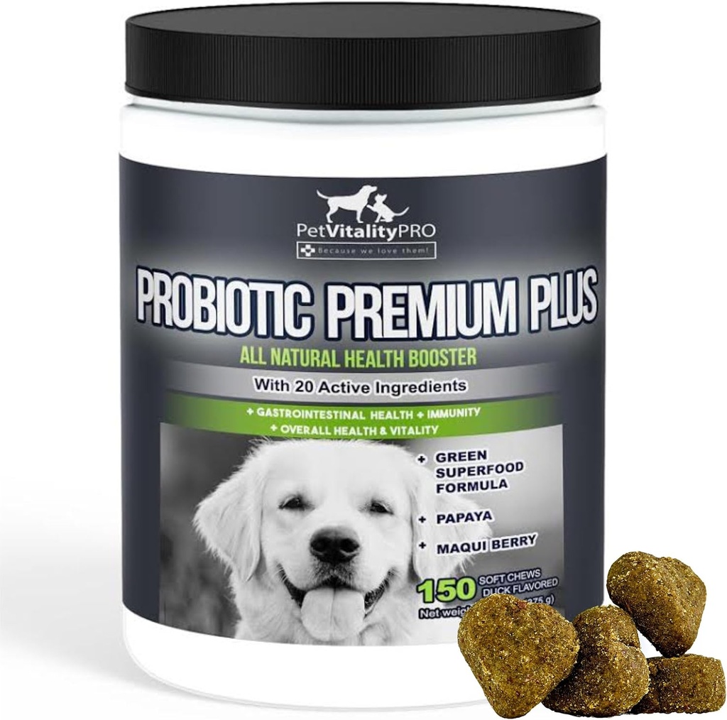 Doğal Digestive Enzymes ile Köpekler için Probiyotikler ● 4 Bill CFUs/2 Soft Chews ● Dog Diarrhea Upset Stomach Yeast Gas Bad Breath Immunity Allergies Skin Itching Hot Spots