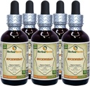 Buckwheat (Polygonum Fagopyrum) Tincture, Dried Hulls Liquid Extract (Brand Name: HerbalTerra, Proudly Made in USA) 5x2 fl.oz (5x60 ml)