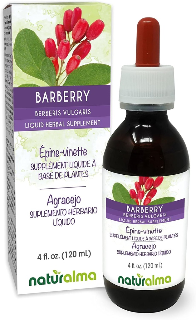 Naturalma Barberry (Berberis vulgaris) Φλοιός ρίζας Αλκοόλ-ελεύθερο Βάμμα - 4 fl oz Liquid Extract in Drops - φυτικό συμπλήρωμα - Vegan
