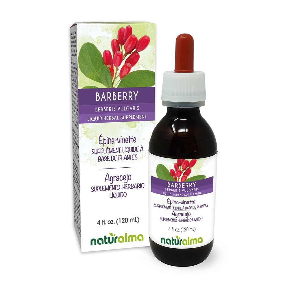 Naturalma Barberry (Berberis vulgaris) Root bark Alkol Özgür Tincture - 4 fl oz Sıvı Ekstraksiyon - Herbal Supplement - Vegan