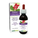 Naturalma Barberry (Berberis vulgaris) Root bark Alkol Özgür Tincture - 4 fl oz Sıvı Ekstraksiyon - Herbal Supplement - Vegan