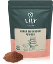 LILY OF THE VALLEY Chaga Mushroom Powder - Chaga Extract Superfood for Chaga Tea, Smoothies and Beverages - Keto Friendly - Vegan & Gluten-Free - Συσκευασία σε Resealable Pouch (16oz, 453g)