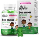 Wild & Organic Irish Sea Moss Gummies for Kids 800 mg - Immune Support with Bladderwrack - Vegan Sea Moss Gel Chews for General Support - 60 Non-GMO Seamoss Gel Gummies