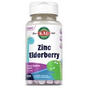 KAL Kids Zinc Elderberry Dinosaurs, συμπλήρωμα υποστήριξης του ανοσοποιητικού * για τα παιδιά w/ Sambucus Elderberry, γρήγορη διάλυση μικτή δραστηριότητα μούρωνMelts, Διασκέδαση, Νόστιμο σχήμα Ντίνο, Vegan, 90 εξυπηρετούν, 90 μικροδισκία