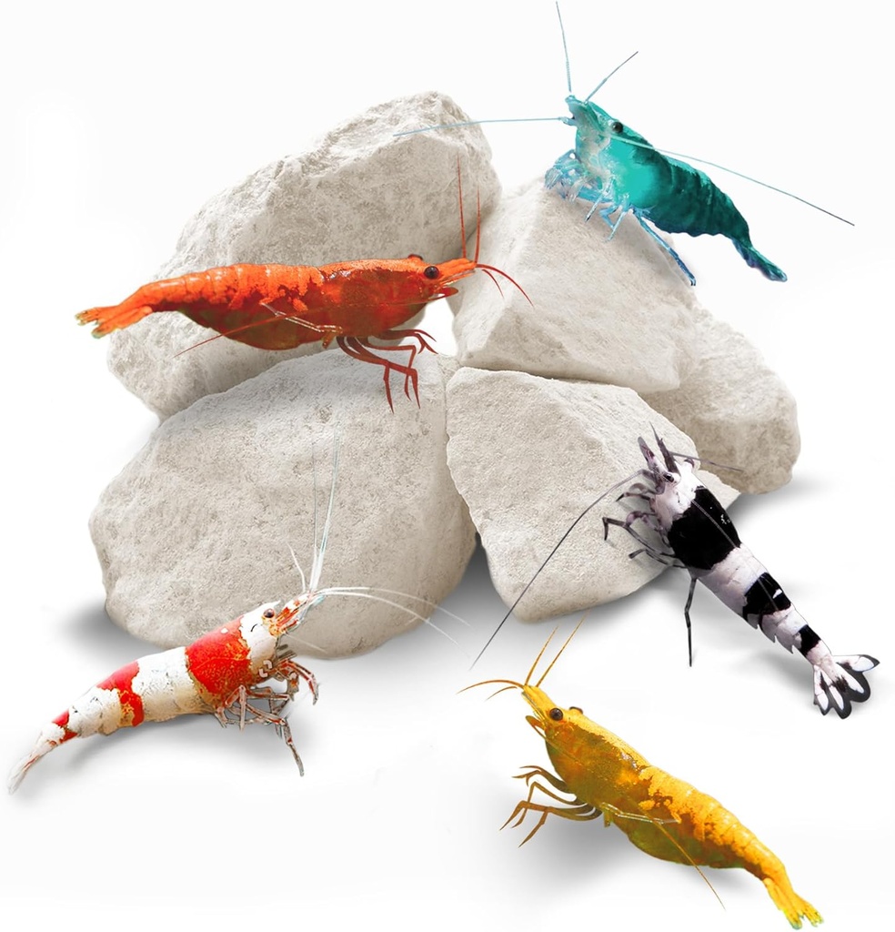 SunGrow Shrimp Rocks, Food, Rock Magnezyums for Crayfish, Hermit Crab, Snails, Crustacean Care, Aquarium Decor for Crystal Red, Amano ve Hayalet Shrimps, Nano Tank Aksesuarları, Fish Tank Tank Malzemeleri