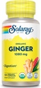 SOLARAY Organic Ginger 1080 mg - Βιολογικά Συμπληρώματα Ginger - Ανακουφίζει Ναυτία και Έμετος που σχετίζονται με την αδιαθεσία κίνησης, υποστηρίζει κοινή υγεία - Vegan, μη υπνηλία, 60 ημερών εγγύηση, 50 υπηρεσίες