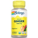 SOLARAY Organik Ginger 1080 mg - Organik Ginger Supplements - Relieves Nausea ve Vomiting Associated with Motion Hastaness, Supports Joint Health - Vegan, Non Drowsy, 60-Day Garanti, 50 Hizmetler