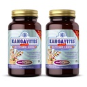 Solgar Kangavites, Bouncin’ Berry Flavor - 120 Μασώμενα δισκία, Συσκευασία των 2 - Πλήρης πολυβιταμίνη & Ορυκτή φόρμουλα για παιδιά - Vegan, Χωρίς γλουτένη