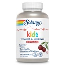 SOLARAY Çocuklar Vitaminler ve Mineraller Çocuklar için Çok Fazla Vitamini Büyük Siyah Cherry Flavor (076280047974) (120 Chews, 60 Serv)
