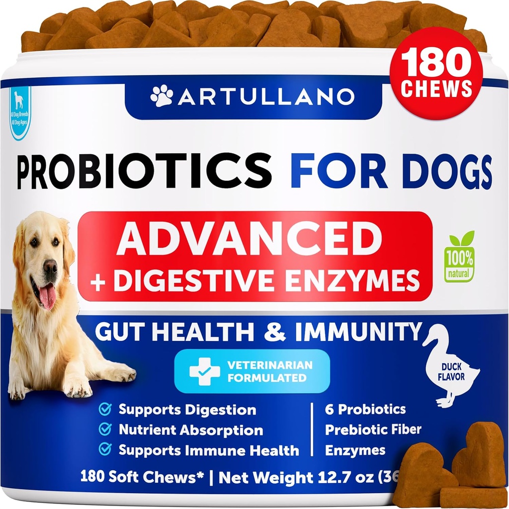 Köpekler için Probiyotikler - Gut Health, Itchy Skin, Allergies, Immunity, Yeast Balance - Dog Probiyotiks and Digestive Enzymes with Prebiyotiks - Diarrhea, Gas - 180 Probiyotik Chews for Dogs