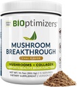 BIOptimizers Mushroom Coffee Alternative – Chai Drink – Lion's Mane, Chaga, Reishi + Collagen Peptides for Focus, Energy & Gut Health – Adaptojenik Mushrooms & MCT Toz – 15 Hizmet