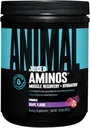 Animal Omega 3 & 6 Supplement with Fish Oil & Flaxseed Oil Plus Juiced replicas BCAA/EAA Matrix for Recovery - 30 Her Şeye Hizmet Ediyor