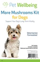 Pet Wellence More Mushrooms Kit for Dogs - Immune System Support and Antioxy Protection - Vet-Formated with Turkey Tail, Reishi, Maitake, Astragalus