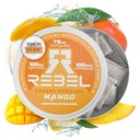 Nootropic Energy Caffeine Pouches • 100 mg Caffeine • Alfa GPC • Huperzine A & Essential Vitaminler • Sugar-Free • Coconut Fiber Teknolojisi • Mango Flavor • 15 Pouches Per Can (Pazar 1)