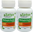 Shilajit Forte Capsules 500 mg. 60 Veg. Capsule | Shilajit (Asphaltum) Erkekler ve Kadınlar için Kapsüller | Ayurvedic Herbal Supplement/R capturedes | 10:1 Forte (2 Şişeler 60 Capsules)