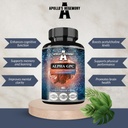 APOLLO'S HEGEMONY Alpha-GPC Günlük Dose başına 600 mg - 90 Vegan Choline Capsules -% 99 Choline Alfoscerate Diyeter Supplement - Lipid Choline - Memory and Concentration Capsules