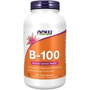 Şimdi Tamamlar, B-100, Enerji Üretimi *, Nervous System Health*, 250 Veg Capsules