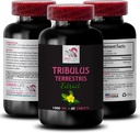 Stamina Power - TRIBULUS TERRESTRIS EXTRACTS - Ενέργεια για τη δραστηριότητα, Φόρμουλα Υποστήριξης Ενέργειας, Active Energy Support, Plant-based Energy Boost, Activity Power, Active Workout Boost 1 Φιάλη 60 δισκία