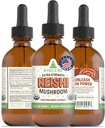 RawGuru Organic Reishi Mushroom Βάμμα - Reishi Mushroom Extract with Natural Trace Minerals - Nano-Processed Συμπληρώματα Γνωστικής & Ανοσολογικής Υποστήριξης - 60 Μερίδες Vegan Drops ανά 60 ml, Συσκευασία 1
