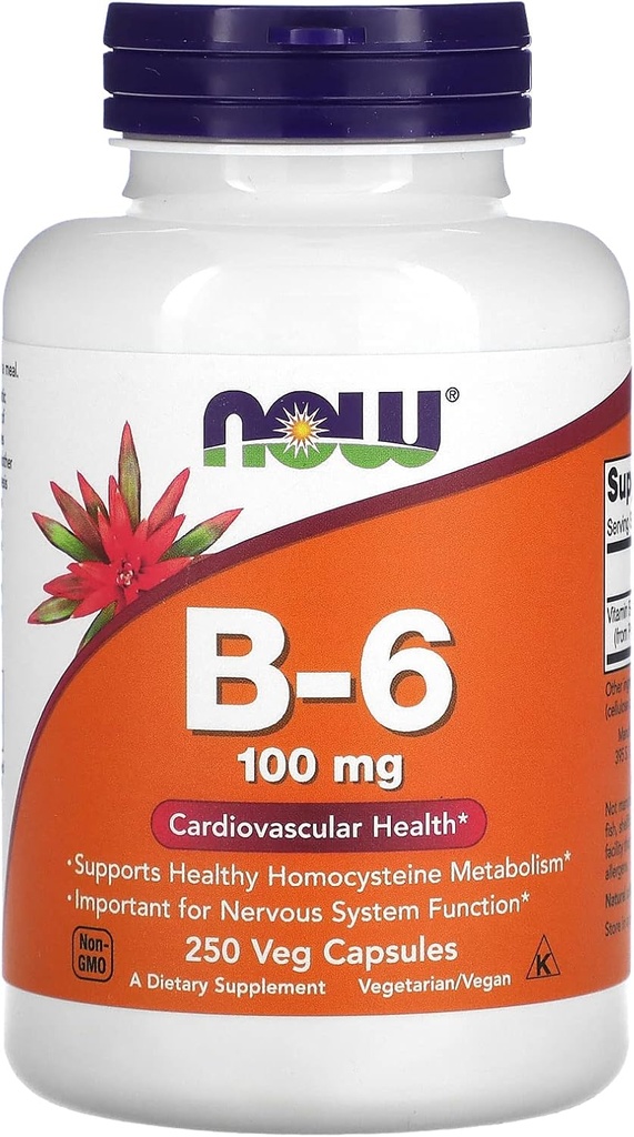 NOW Foods B-6, 100 mg, 250 Veg Capsules