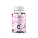 Hyland's Kids Organic Elderberry Plus Gummies, Organik Black Elderberry with ZINC and Vitamin C, Immune Support for Children, 48 Vegan Gummies