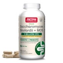 Jarrow Formulas Saccharomyces Boulardii Probiotics + MOS 5 Δισεκατομμύρια CFU Probiotic Yeast για ενδοεντερική υποστήριξη υγείας, συμπληρώματα υγείας ούρων για γυναίκες και άνδρες, 90 κάψουλες λαχανικών, 90 ημέρες προσφοράς