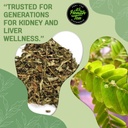Τσάι Chanca Piedra - Loose Leaf w/ 35 Τσάντες Τσάι - Φυσικό Kidney Cleanse - Νεφρική πέτρα Κράσερ & Gallblader Detox από το Περού (Phylanthus niruri)