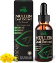 Lungs için Mullein Broşürü - Respiratory Health Support Lung Detox Cleanse - Vegan Sugar-Free Gluten Ücretsiz - Erkekler için sıvı Supplement 2fl. oz (60 ml) (1 Pack)