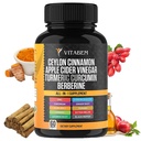 Ceylon Cinnamon Capsules 3000 mg Turmeric 3000 mg Apple Cider Vinegar 3000 mg GM 2000 mg Aloe Vera 2000 mg Berberine Supplement 1200 mg + Banaba | Bitter Melon | Gymnema | Ginger Root - 60 Count