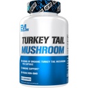 Evlution Nutrition Turkey Tail Mushroom - 500mg Organic Turkey Tail Mushroom per Capsule - Immune Support - Dietary Supplement - Vegan & Non-GMO - 60 Servings - 60 Capsules