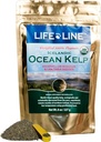 Life Line Organic Ocean Kelp Toz Cats, Köpekler, Livestock ve Horses – Doğal Iodine Supplement for Health Skin, Coat, and Teeth – Reduces Plaque & Arts Metabolism - 8 ozz