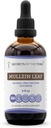 Tribe Mullein Leaf Alkol-Free Liquid Extract, Mullein (Verbascum thapsus) Tincture Supplement (4 FL OZ)