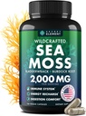 Sea Moss Κάψουλες - Ιρλανδική Θάλασσα Moss Advanced with Burdock Root, Bladderwrack & Muira Puama for Immunity, Gut, & Energy - Superfood Sea Moss Συμπληρώματα w/Raw Sea Moss Powder - 120 Irish Seamoss Pills