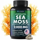 Sea Moss Κάψουλες - Ιρλανδική Θάλασσα Moss Advanced with Burdock Root, Bladderwrack & Muira Puama for Immunity, Gut, & Energy - Superfood Sea Moss Συμπληρώματα w/Raw Sea Moss Powder - 120 Irish Seamoss Pills
