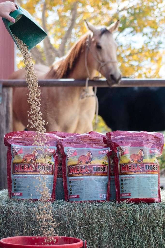 Mega Dose 40 λίβρες, Equine Vitamin Mineral με πλήρη εξυπηρέτηση του συμπλήρωμα Horse Guard & Hoof Guard