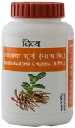 Patanjali Ashwagandha Churna 100gm - 1 Paket