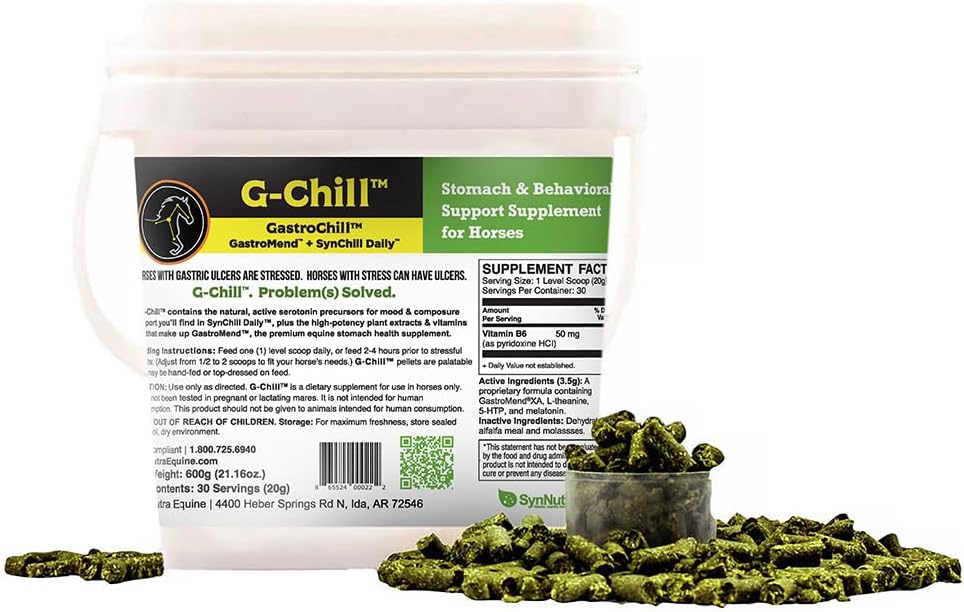 G-Chill Atlar için Doğal Digestive Sağlık Desteği - 30 hizmet - Stomach & Hindgut Health, Gastrik Ulcer Relief, Advanceds Collagen & Fibronectin Prodüksiyonu
