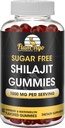 Sugar Free Shilajit Gummies (1000 mg hizmet)- Natural Himalaya Organik Fulvic Acid Shilajit Supplement for Men and Women -60 Gummy Chews