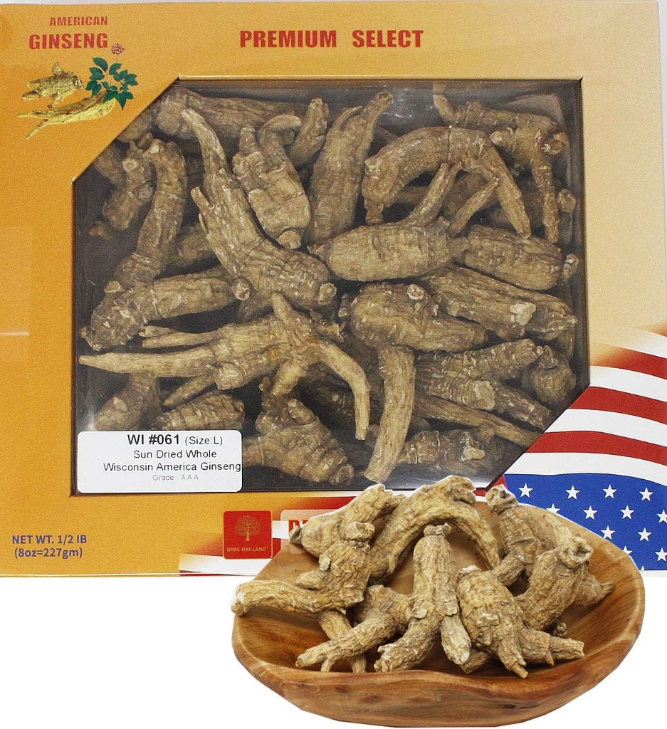 Hand- Selected American Wisconsin Farmed BTC Root Medium 美国威斯康辛州 长枝西洋参 | Cultivated Wisconsin American BTC Büyük 8oz/Box