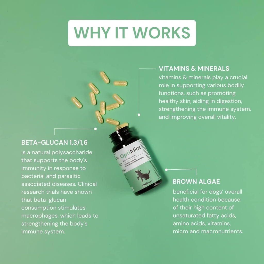 OptiMins Dog Vitamin & Mineral Capsules - Sağlık için Temel Plastikler - Vitality & Immune Support - Multivitamin, Amino Asits ve Mineraller Skin, Digestion ve Heart Health