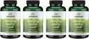 Swanson Sting Nettle Leaf (Urtica Dioica) - Herbal Supplement Urinary Tract & Respiratory Health Support - Mayıs Sağlıklı Akışı Destekleyebilir - (120 Capsules) (4 Pack)