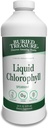 Buried Treasure Liquid Chlorophyll 100 mg, Diyetsel Supplement, Intestinal Digestive Support Natural Body Deodorant Vegan Non-GMO Alkol Ücretsiz, Spearmint Flavor 32oz
