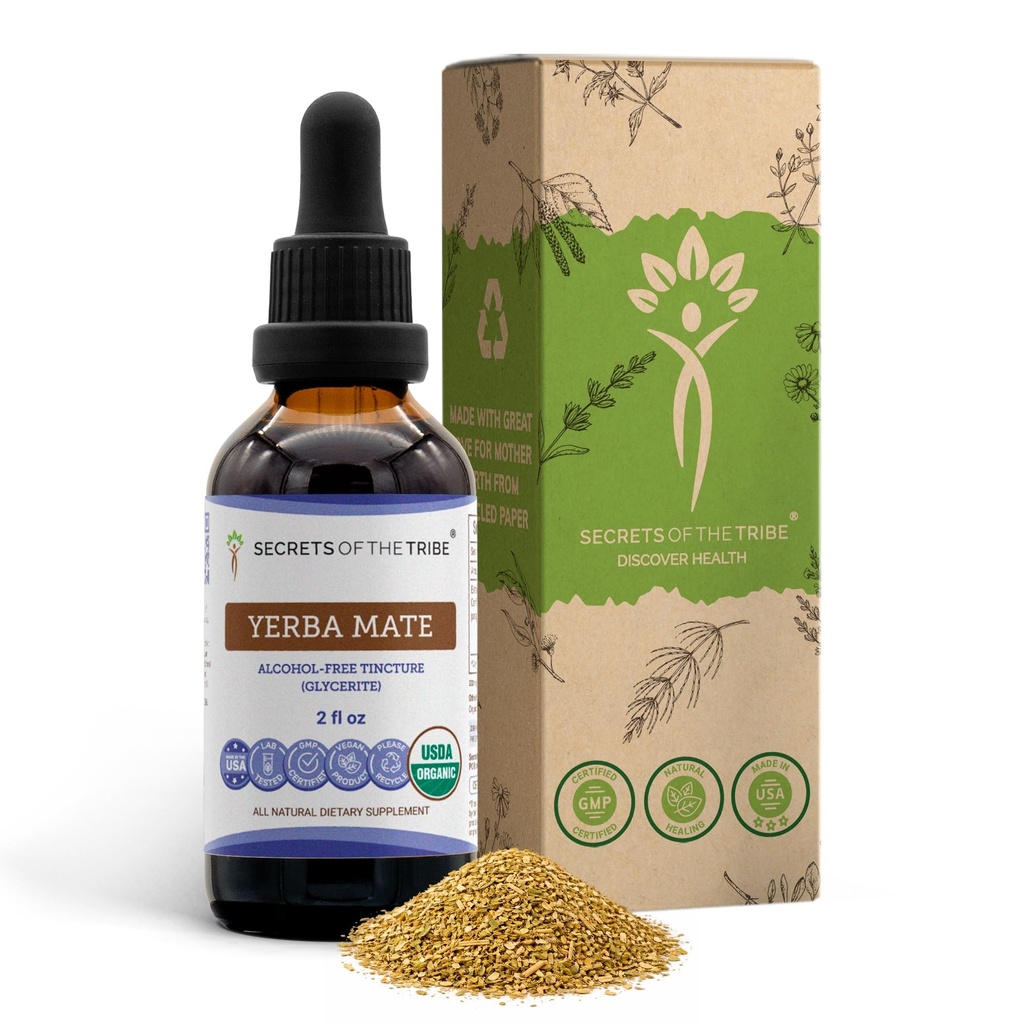 Tribe Yerba Mate USDA Organik Tincture | Alkol Özgür Tür, Yüksek Lisans Herbal Drops | %100 sertifikalı Organik Yerba Mate (Ilex paraguariensis)