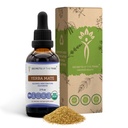 Μυστικά της φυλής Yerba Mate USDA Organic Tincture 